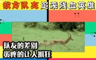 隊(duì)友的差距 敵方隊(duì)友如虎,我方隊(duì)友如狗