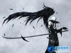 奧拉星神秘之圣神·無