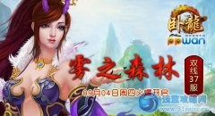 凌空飛躍ppwan《臥龍OL》首飾獲取全新途徑