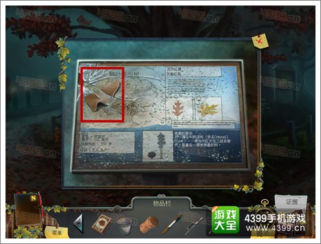 烏鴉森林之謎