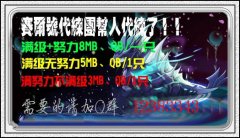 Mime丶第三分隊正式代練啦
