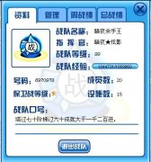 暗夜分隊6970978收人