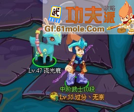 功夫派滿級