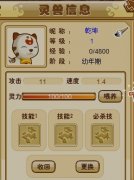 新靈獸——功夫派通靈貓